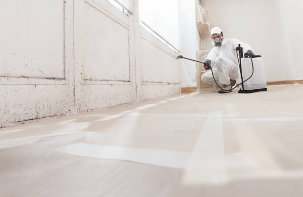 24/7 Emergency Mold Remediation experts in Reva, VA